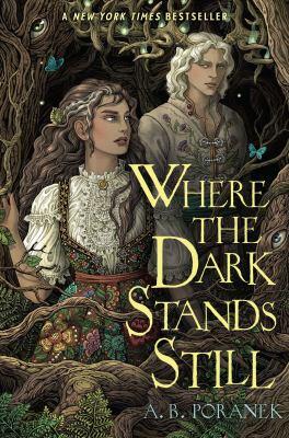 Where the Dark Stands Still book cover